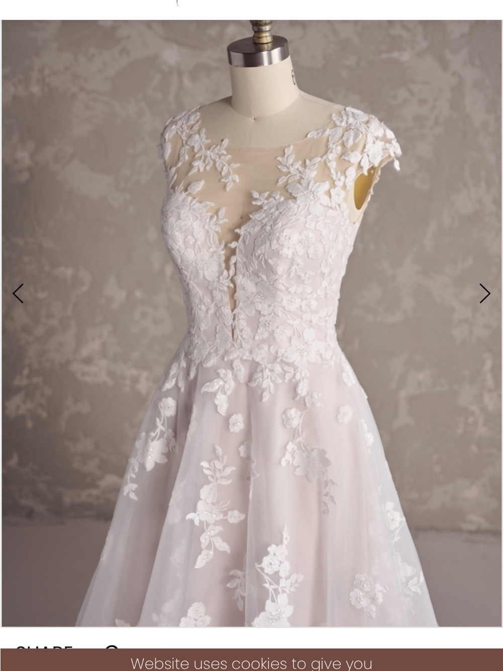 Lace Appliqué A-Line Wedding Dress in Blush